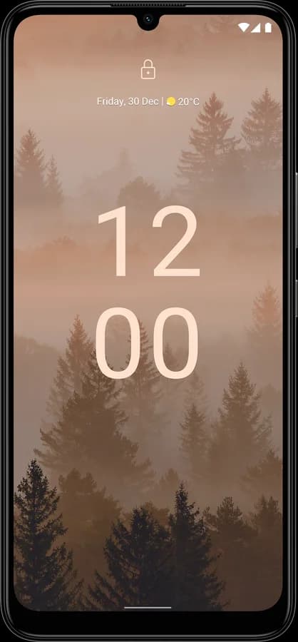 Nokia C31